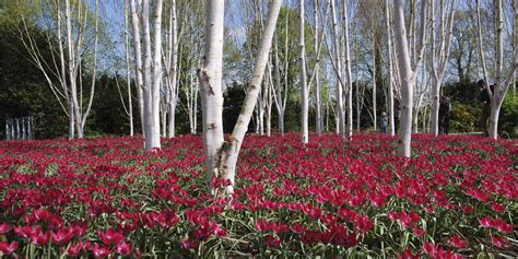 Anglesey Abbey, Gardens & Lode Mill | Great Days Out Around Cambridge