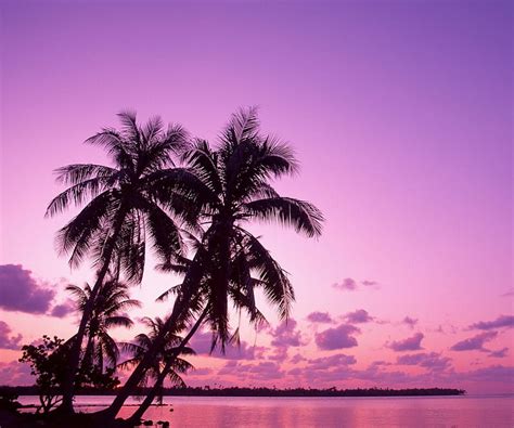 Aggregate more than 64 purple sunset wallpaper super hot - in.cdgdbentre