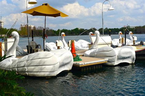 Swan Boats On Lake Eola Photograph by Denise Mazzocco - Pixels