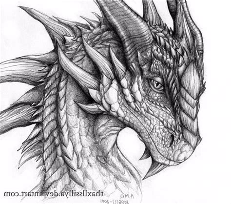 realistic dragon head drawing | Dragon head drawing, Realistic dragon, Dragon drawing