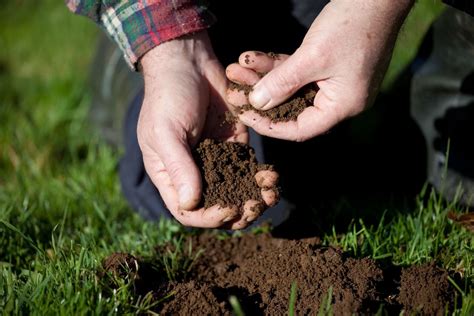 Soil cultivation: how to loosen soil - Plantura