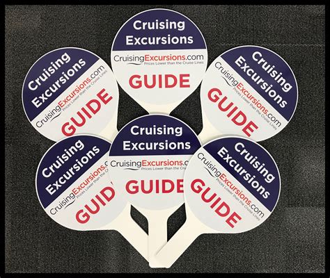 Hand Held Paddle Sign - Top Notch Signs | Cruise excursions, Signs, Cruise