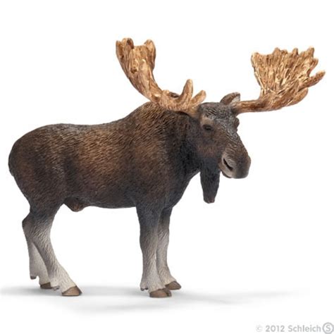 Buy Schleich: Moose Bull at Mighty Ape Australia