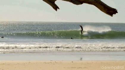 surfing - Reaction GIFs