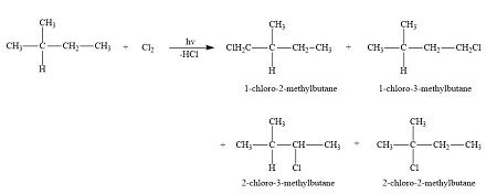 Draw all of the monochlorination products that you might obtain from the free-radical ...