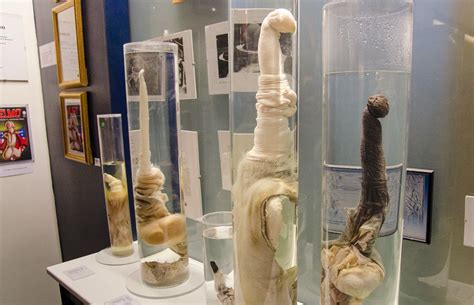 33 Of The World's Weirdest Museums