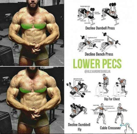 Exercises for Every Part of the Chest | Videos & Guides - weighteasyloss