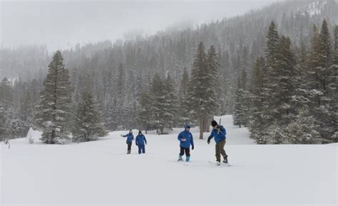 Sierra Nevada snowpack through February 5th largest in 40 years