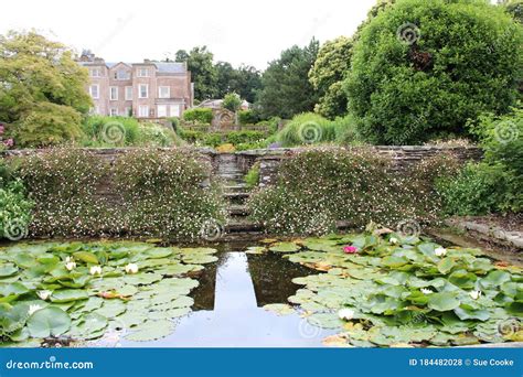 The Pond at Hestercombe House and Gardens, Somerset, UK Stock Photo - Image of daysout ...