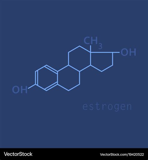 Estrogen molecule structure in style scientific Vector Image