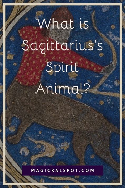 What is Sagittarius’s Spirit Animal? [Zodiac Spirit Animals Series]