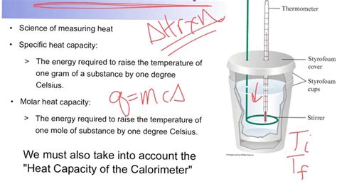 Coffee Cup Calorimeter Diagram