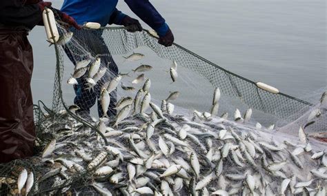 Jamaica: Two Fishermen fined $4 for illegal fishing - The Caribbean Alert