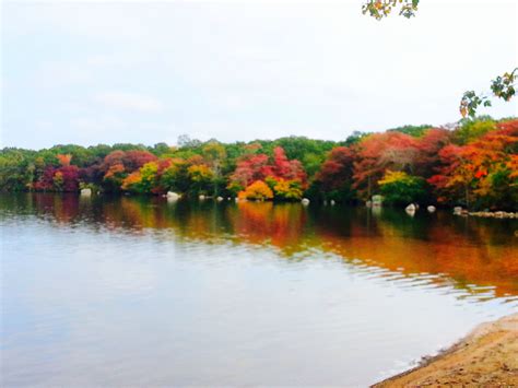 a body of water surrounded by trees with orange and red leaves on it's sides