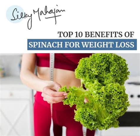 Top 10 Benefits Of Spinach For Weight Loss | Silky Mahajan