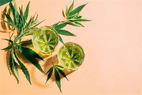 High Spirits: Exploring the Rise of THC Infused Drinks in New York Cit ...