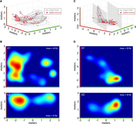 Frontiers | 3D Hippocampal Place Field Dynamics in Free-Flying ...