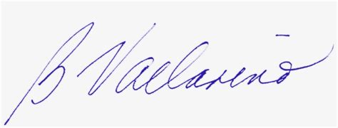 Bv Signature Blue - Signature Png Transparent Blue - 997x332 PNG Download - PNGkit