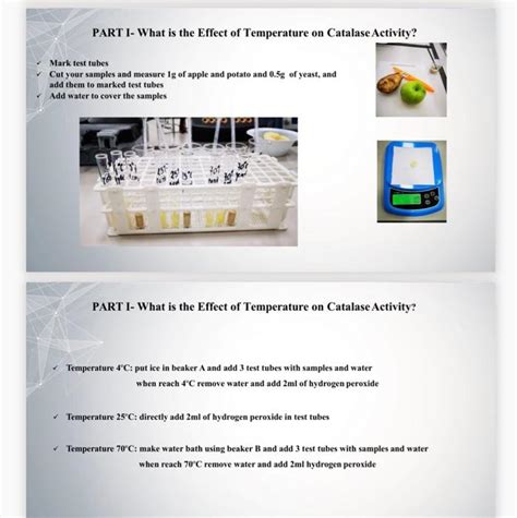 Solved PART 1- What is the Effect of Temperature on Catalase | Chegg.com