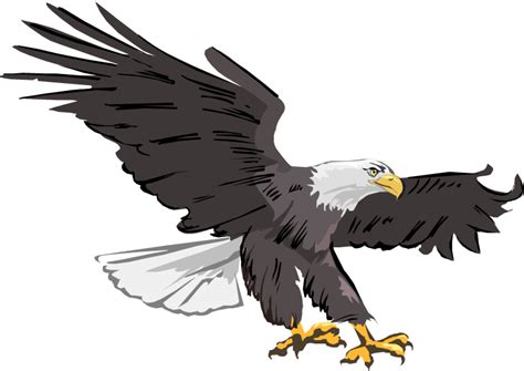 Bald eagle clipart images free - Clipartix