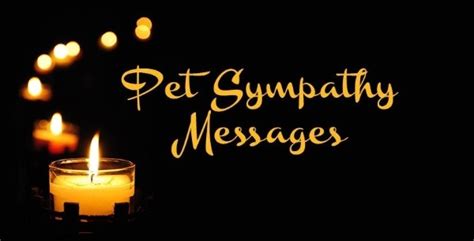 67 Pet Sympathy Messages – Condolence Messages - Sweet Love Messages