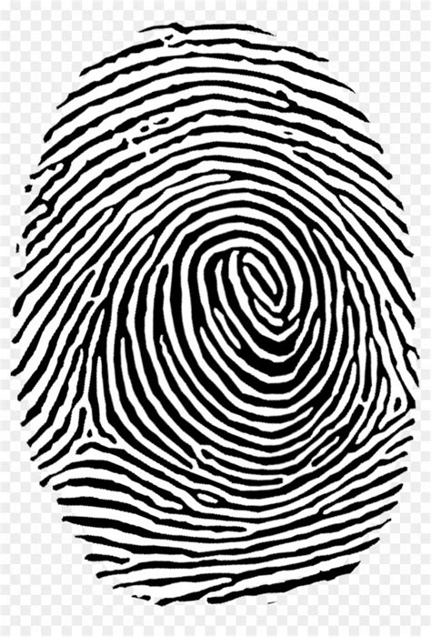 fingerprint images free download - heatpadelectrictopquality