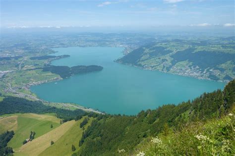 Splash! Here are 8 lakes near Zurich for wild swimming – Newly Swissed ...