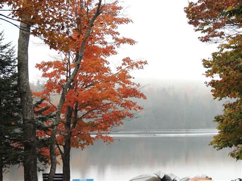 5 Best Vermont State Parks for Fall Camping