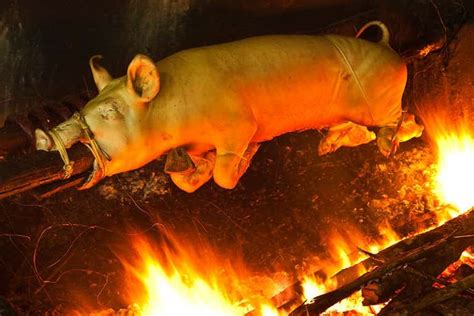 Iron-age Britons engaged in mysterious pig trotter festivals | New ...