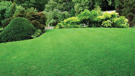 landscaping Near Me | View Photos | Advanced Lawn Solutions