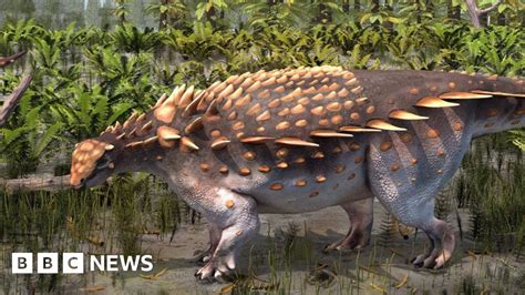 Isle of Wight: New dinosaur species discovered