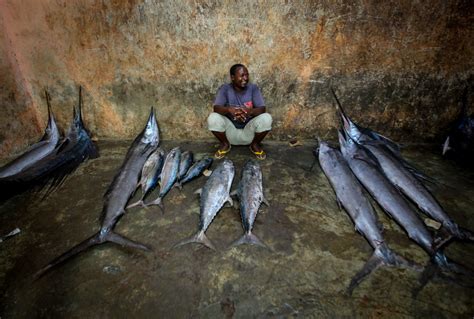 2013_03_16_Somalia_Fishing o | A trader waits to sell fish i… | Flickr