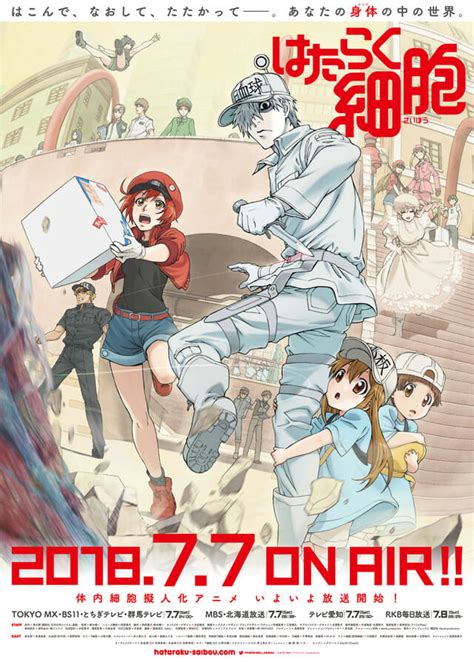 Cells At Work! Anime Gets a New Trailer & Visual - Anime Feminist