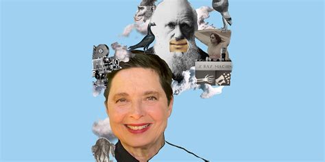 Isabella Rossellini's Darwin's Smile - ArtYard