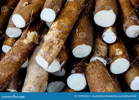 Cassava, Also Called Manioc, Yuca, Balinghoy, Mogo, Mandioca, Kamoteng ...