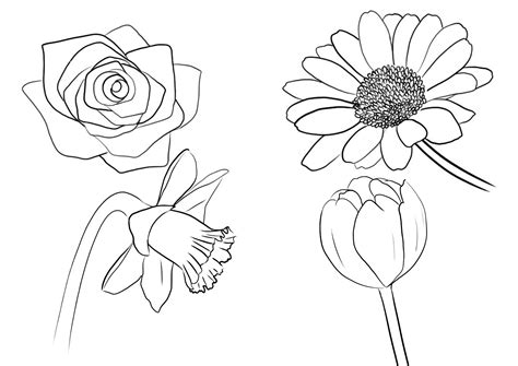Comment dessiner une fleur | Dessin fleur, Comment dessiner une fleur, Comment dessiner une rose