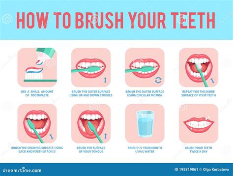 Instruction On How To Brush Your Teeth Correctly. Medical Infographic. Realistic Vector ...