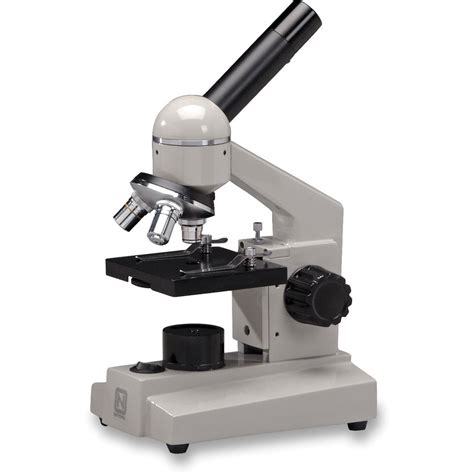 National Model 104-CLED Compound Microscope 104-CLED B&H Photo