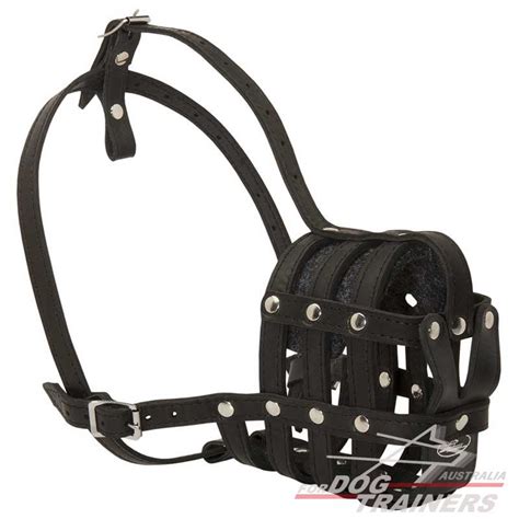 Buy Basket Leather Dog Muzzle | Walking Training | Australian Store