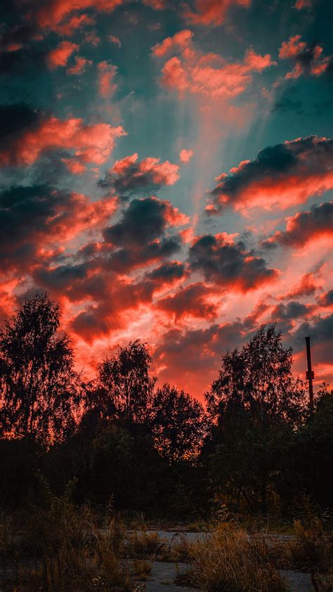 Trees, Sunset, Sky, Clouds, Autumn, Evening, autumn clouds HD phone ...