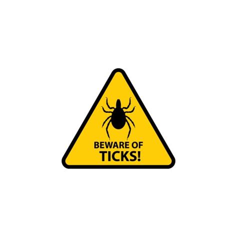 Ticks safety tips mite bites prevention Royalty Free Vector