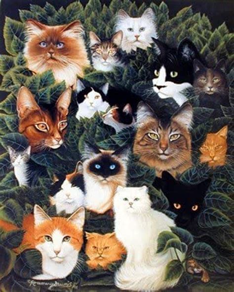 Cat Collage Picture | Animal Posters | Cat Posters