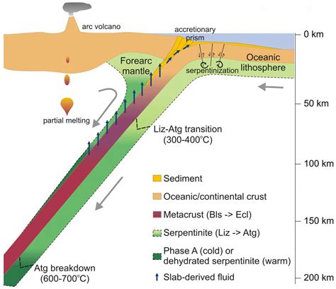 Minerals | Free Full-Text | Abyssal Serpentinites: Transporting ...