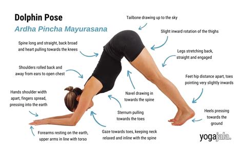 Dolphin Pose (Ardha Pincha Mayurasana)