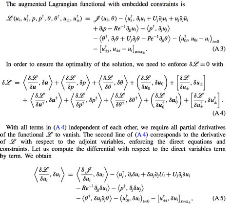 calculus - Differentials of a Lagrangian in Fluid Mechanics ...