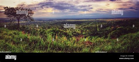 Queen Elizabeth National Park, Uganda, Africa Stock Photo - Alamy