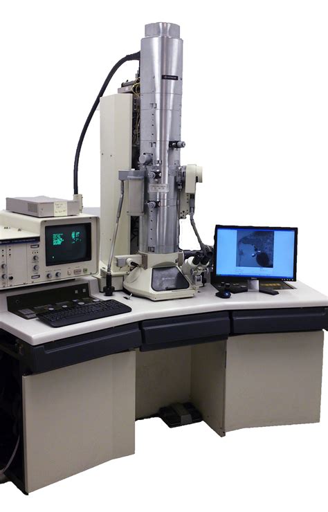 Transmission Electron Microscopy (TEM) | Faculty of Medicine