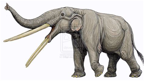 Stegotetrabelodon - Dinopedia - the free dinosaur encyclopedia