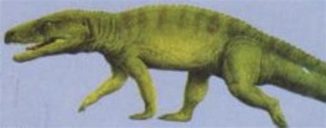 Saurosuchus | Walking With Wikis | Fandom