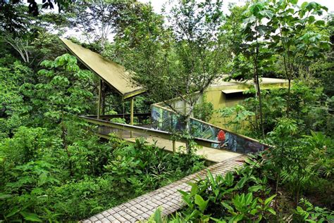 Panama Rainforest Discovery Center / ENSITU | ArchDaily